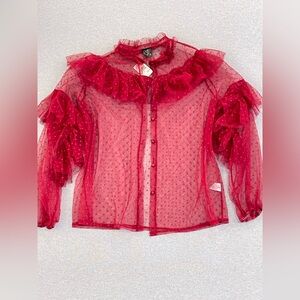Burgundy Sheer Ruffle Mesh Blouse Polka Dot Statement Top Plus Size 2X